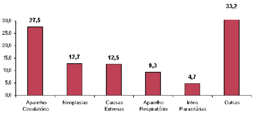 Figura 1 – Gráfico da distribuição proporcional das principais causas de morte de 2002 (dados provenientes do INCA).