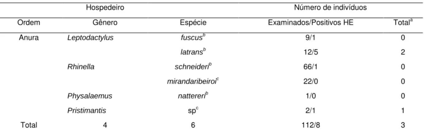 Tabela 1 -  Hospedeiros e positividade para tripanossomas dos anuros examinados neste estudo 