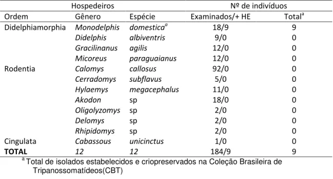 Tabela 2 -  Espécies  de  hospedeiros  e  hemocultura  positiva  em  pequenos  mamíferos  examinados 