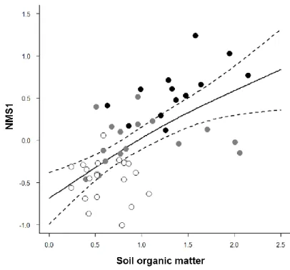 Figure  2.3 Relationship between the first axes of the ordination based on scrub cover (NMS1)  and percentage of soil organic matter (SOM)
