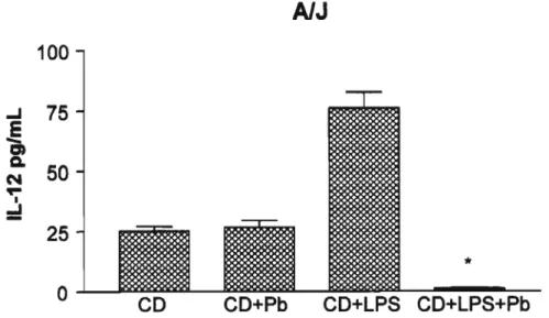Figura 10 - Produção de IL-12 por células dendrfticas de camundongos AJJ imaturas ou ativadas e cultivadas com P
