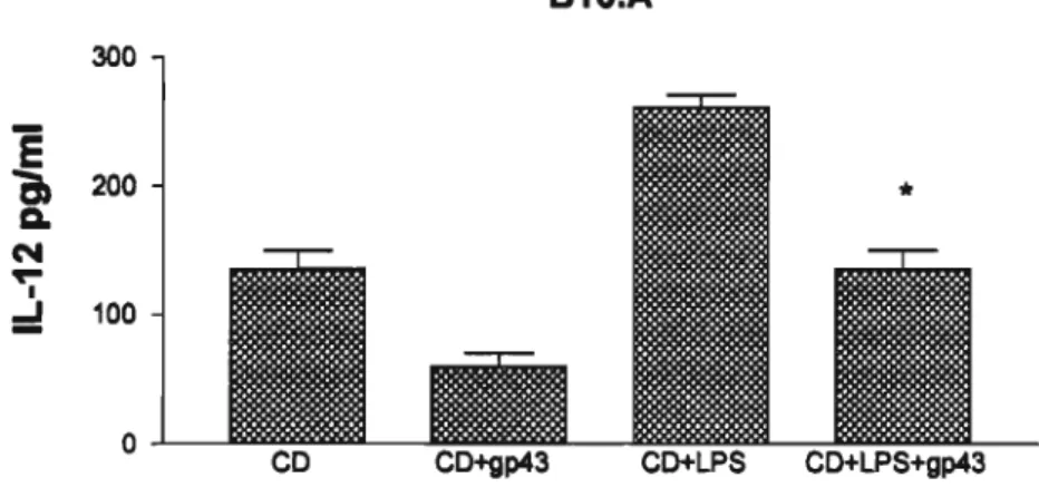 Figura 13 - Produçlo de IL-12 por células dendritlcas de camundongos B10.A Imaturas ou ativadas, na p....