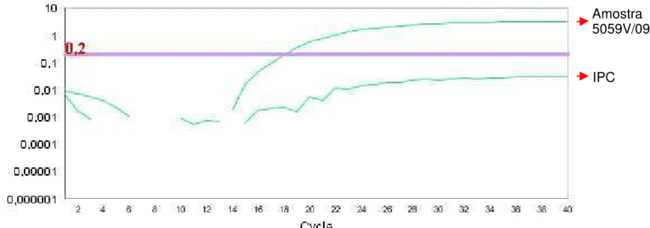 Figura  7 –  Gráfico  (amplification  plot)  da  reação  de  Real  Time  RT-PCR  da  amostra  de  lavado cerebral do espécime 5059V/09 mostrando a curva de amplificação da  amostra e do IPC