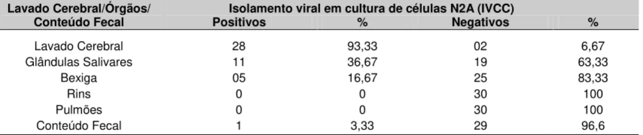 Tabela 1 - Distribuição e proporção (%) das amostras de lavado cerebral, órgãos e conteúdo  fecal  positivos  e  negativos  à  técnica  de  isolamento  viral  em  cultura  de  células   N2A  (IVCC),  de  morcegos,  do  gênero  Artibeus,  diagnosticados  po