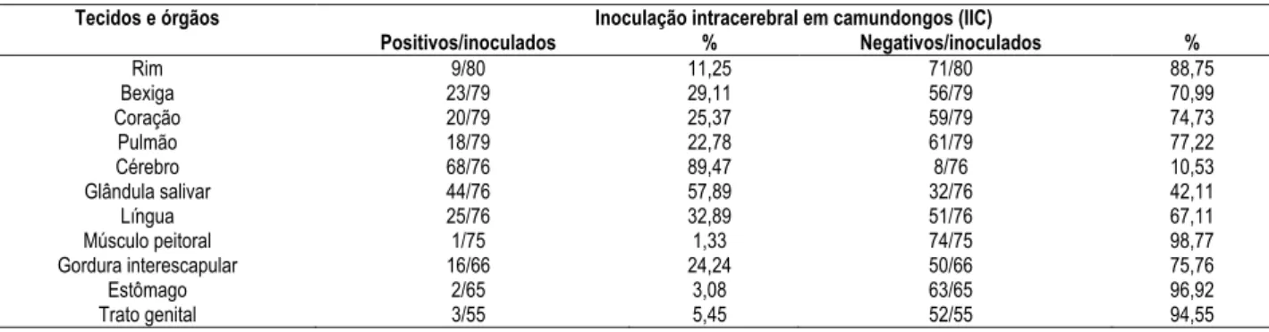 Tabela 5 – Distribuição dos tecidos e órgãos positivos e negativos à prova de inoculação intracerebral em camundongos  (IIC), de morcegos reagentes à raiva pela prova de imunofluorescência direta (IFD), no Instituto Pasteur de São  Paulo, período de abril 