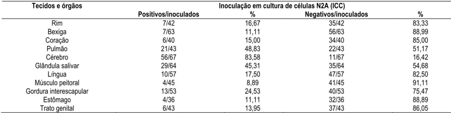 Tabela 6 - Distribuição dos tecidos e órgãos positivos e negativos à prova de inoculação em cultura de células N2A (ICC),  de morcegos reagentes à raiva pela prova de imunofluorescência direta (IFD), no Instituto Pasteur de São Paulo,  período de abril de 