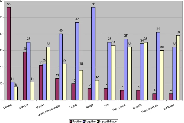 Gráfico 2 - Distribuição dos tecidos e órgãos de morcegos positivos para a prova de inoculação em cultura de células N2A  (ICC), Instituto Pasteur de São Paulo, período de abril de 2002 a novembro de 2003 - São Paulo - 2005 