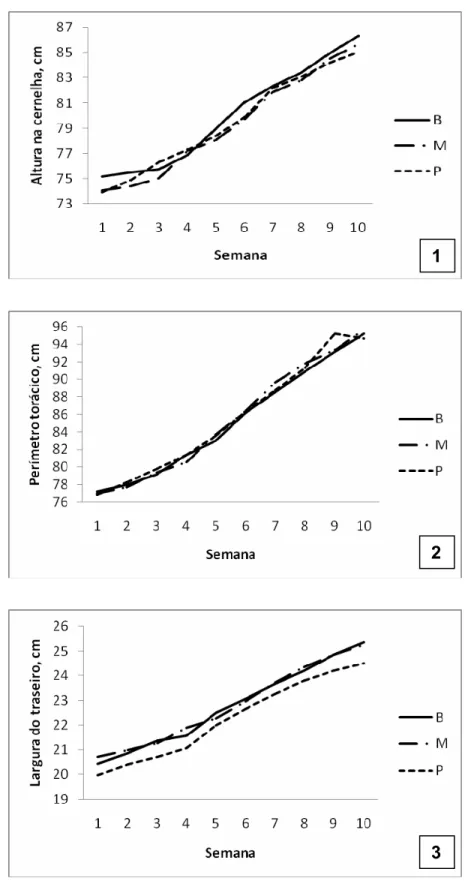 Figura 3.4 – Medidas, em centímetros, da altura na cernelha (1), perímetro torácico (2)  e largura do traseiro (3), de acordo com a idade, de bezerras recebendo  concentrado inicial com adição de butirato de sódio (B), monensina sódica  (M) ou propionato d