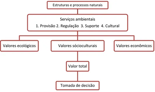 Figura 1. Diagrama de análise integrada das funções, serviços e produtos ambientais. Fonte: De  Groot, Wilson e Boumans, 2002