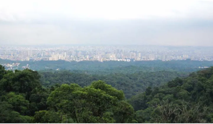 Figura 10. Vista da Pedra Grande, Parque Estadual da Cantareira, com a cidade de São Paulo ao fundo