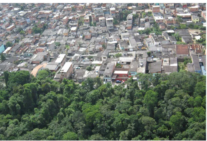 Figura 12. Loteamento irregular no distrito do Grajaú – SP. Imagem da autora, dez. 2010
