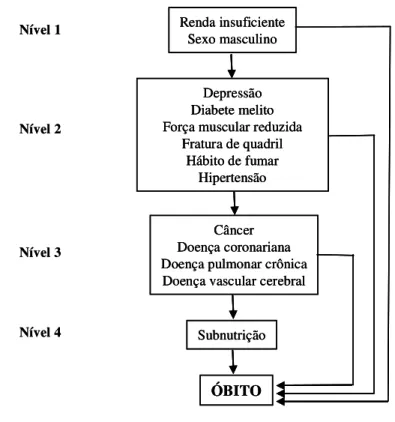 Figura  2.  Modelo  teórico  para  investigação  de  fatores  de  risco  para  óbito  em  idosos  domiciliados, estruturados em níveis hierarquizados.