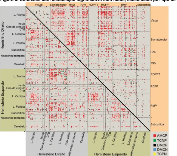 Figura 8. Conexões com associação significativa com idade, classificada por tipo de associação 