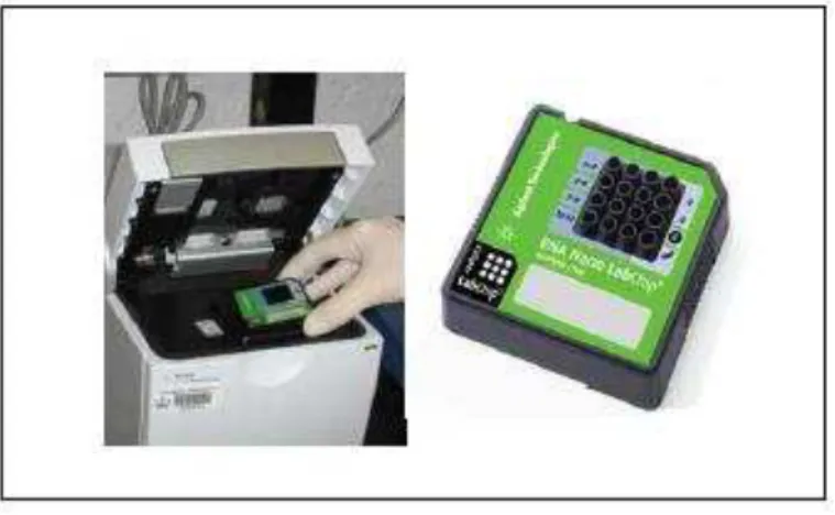 Figura 5. Aparelho  Bioanalyzer 2100 Agilent e RNA 6000 Nano Chips utilizados na eletroforese  microfluídica