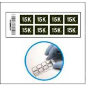 Figura 7. Agilent microarrays no formato 8x15k contendo oligonucleotídeos sintetizados a partir  de sequências de miRNAs 