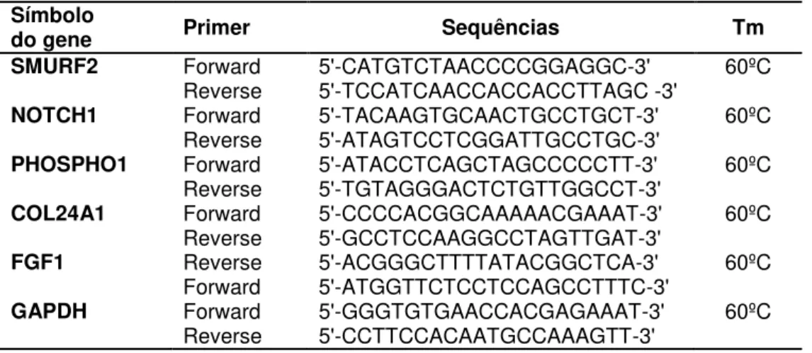 Tabela I – Primers utilizados nas reações de qRT-PCR e suas respectivas sequências sense e  antisense