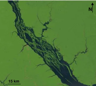 Figura  6.  Confluência  dos  rios  Negro  e  Solimões  (unidade  VI  de  Latrubesse  &amp;  Franzinelli,  2005)