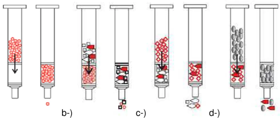 Figura 5. Processo de extração em fase sólida. a-) Condicionamento do cartucho b-) Adição de 