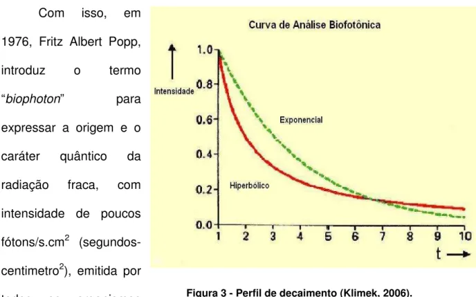 Figura 3 - Perfil de decaimento (Klimek, 2006).  