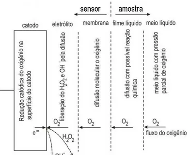 Figura 2.3:  Camadas de transporte do oxigênio até o catodo recoberto por membrana (LINEK et al.,  1988)