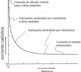 Figura 2.8: Variação de corrente com o tempo para o sensor recoberto por membrana (HITCHMAN,  1978)