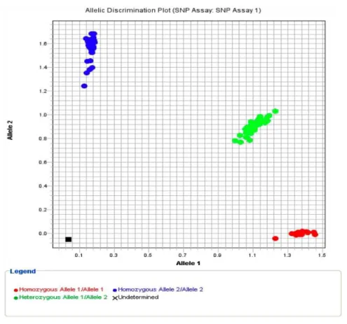 Figura 6. Resultados segundo emissão de fluorescência analisada por genotipagem (TaqMan) 