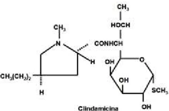 Figura 2.2 - Fórmula  estrutural  da Clindamicina (MACROLIDOS,  CLORAMFENICOL, CLINDAMICINA Y TETRACICLINAS,  2007) 