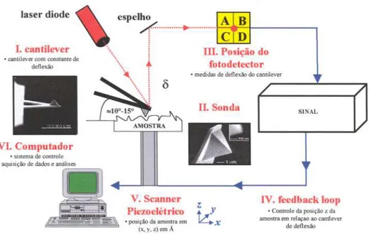 Figura 18. Esquema simplificado de um aparelho de Microscopia de Força Atômica.