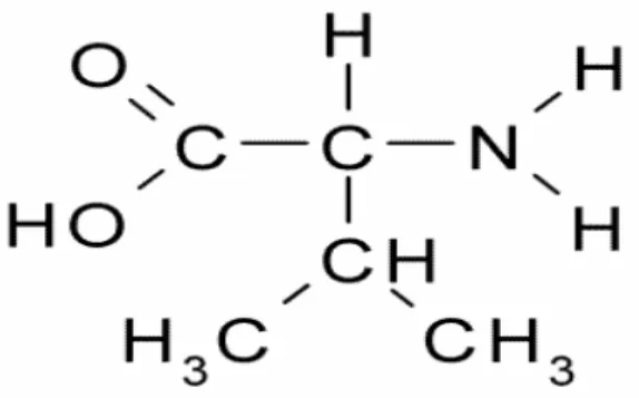 Figura 1 Estrutura química da valina 