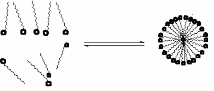 FIGURA 3:  Estrutura do surfactante Dodecil Sulfato de Sódio (SDS)μ “cauda” hidrofóbica  e “cabeça” hidrofílica