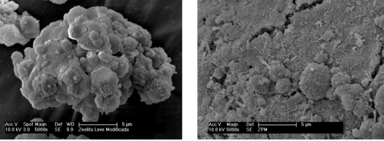 FIGURA 11: Micrografia das zeólitas modificadas leve (a) e pesada (b) de carvão obtidas  por microscopia eletrônica de varredura