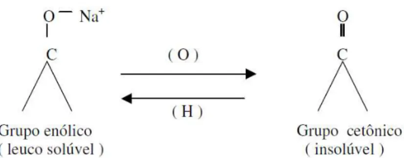 FIGURA 1 - Exemplo de uma estrutura química característica de um grupo cromóforo  de um azocorante (Kunz  et al., 2002)