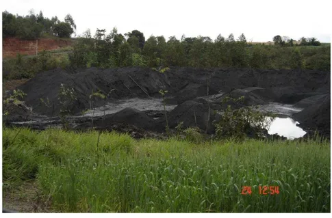 FIGURA 3: Disposição inadequada das cinzas de carvão no meio ambiente. 
