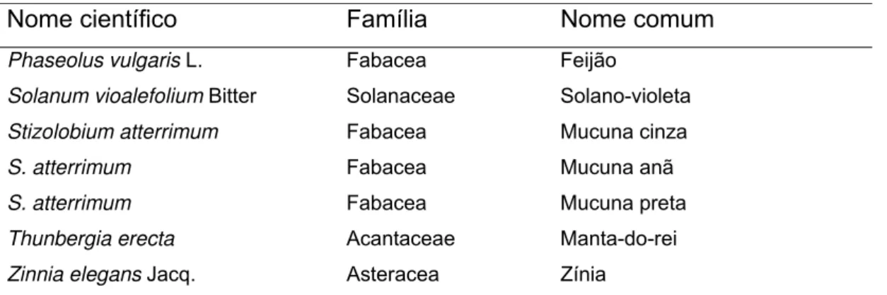 Tabela 2. Plantas usadas para testes de inoculação mecânica e inoculação por  meio de ácaros