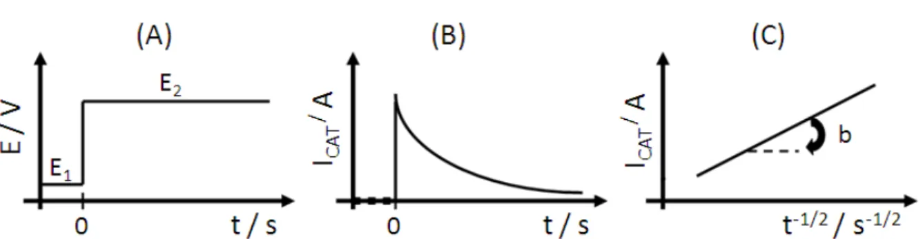 Figura  3   -  (A)  aplicação  do  salto  de  potencial  em  um  ensaio  cronoamperométrico;  (B)  comportamento  da  corrente  com  o  tempo  (cronoamperograma)  e;  (C)  da  corrente  com  t −1/2 segundo a equação de Cottrell
