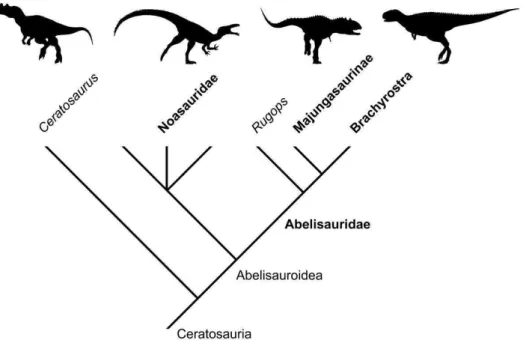 Figura  4.  Cladograma  exemplificando  as  relações  filogenéticas  entre  Ceratosauria  conforme  demonstrado em Tortosa et al