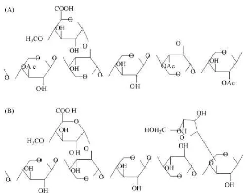 FIG 6. Estrutura molecular da galactoglucomanana (a) e da xilana  (b)   (DEMIRBAS, 2008)
