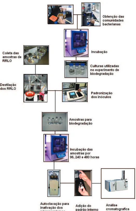 FIGURA 10: Representação esquemática da metodologia utilizada na biodegradação dos RRLO