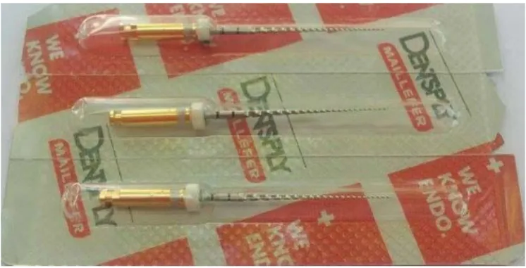 Figure 13 – Setilized ProGlider Kit, six files, 25mm (Dentsply Maillefer)