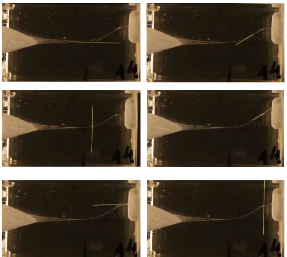 Figure 16 – This six pictures show the sequence made in the Rhinoceros Software to define the  measure point of the coronal and apical curvature of the S-shape canal