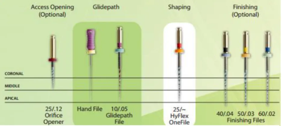 Figure 3 - HyFlex  EDM™  System.