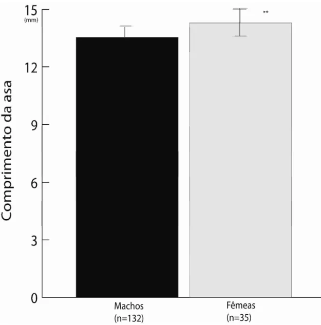 Figura 8. A diferença do tamanho corporal (comprimento da asa em centímetros,  média  ±  DP)  de  machos  e  fêmeas  de Acanthagrion  truncatum