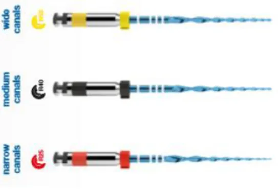 Figure 1 – Reciproc® blue system composed by three single files (VDW, Munich,  Germany) (Reciproc® blue