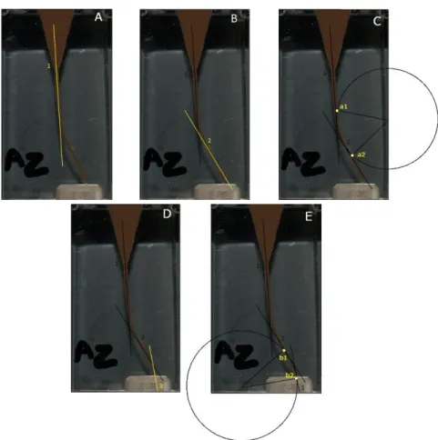 Figure 13 – Resin blocks. A) Pre-instrumentation; B) Post-instrumentation; C)  Superimposed image 