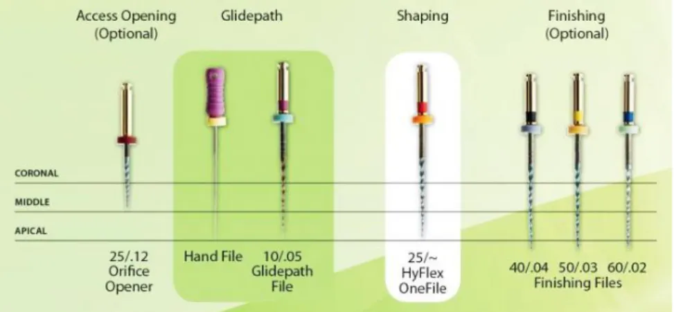 Figure 4 - HyFlex® EDM files: orifice opener (25/12); glidepath file (10/05); 