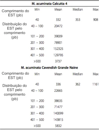 Tabela 2 - Distribuição por tamanho de sequências de alta qualidade de M. acuminata Calcutta 4 e Cavendish  Grande Naine, derivadas do sequenciamento massal