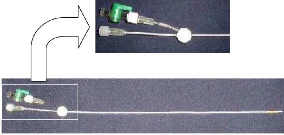 Figura 2. Cateter para realização da Hycosy e detalhe da extremidade com  as duas vias 