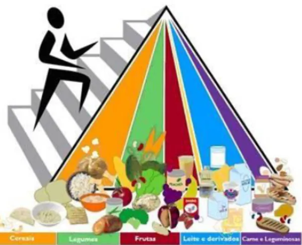 Figura 1 - Pirâmide dos Alimentos. Fonte: adapatado United States Department of Agriculture,  2008