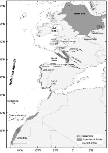 Fig. 4. European sardine (Sardina pilchardus) spawning and nursery grounds in northeast  Atlantic waters (Garrido and van der Lingen, 2014)