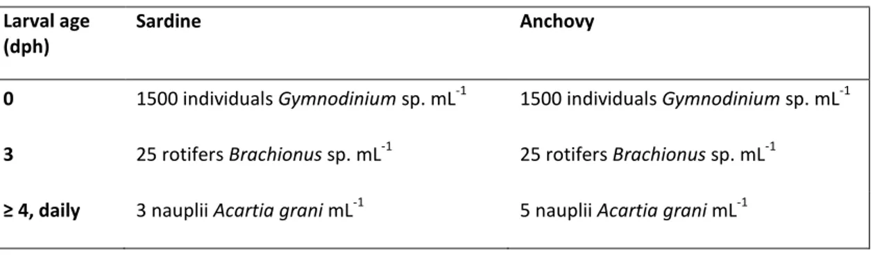 Table 1. Feeding regimes used throughout anchovy and sardine larvae growth experiments